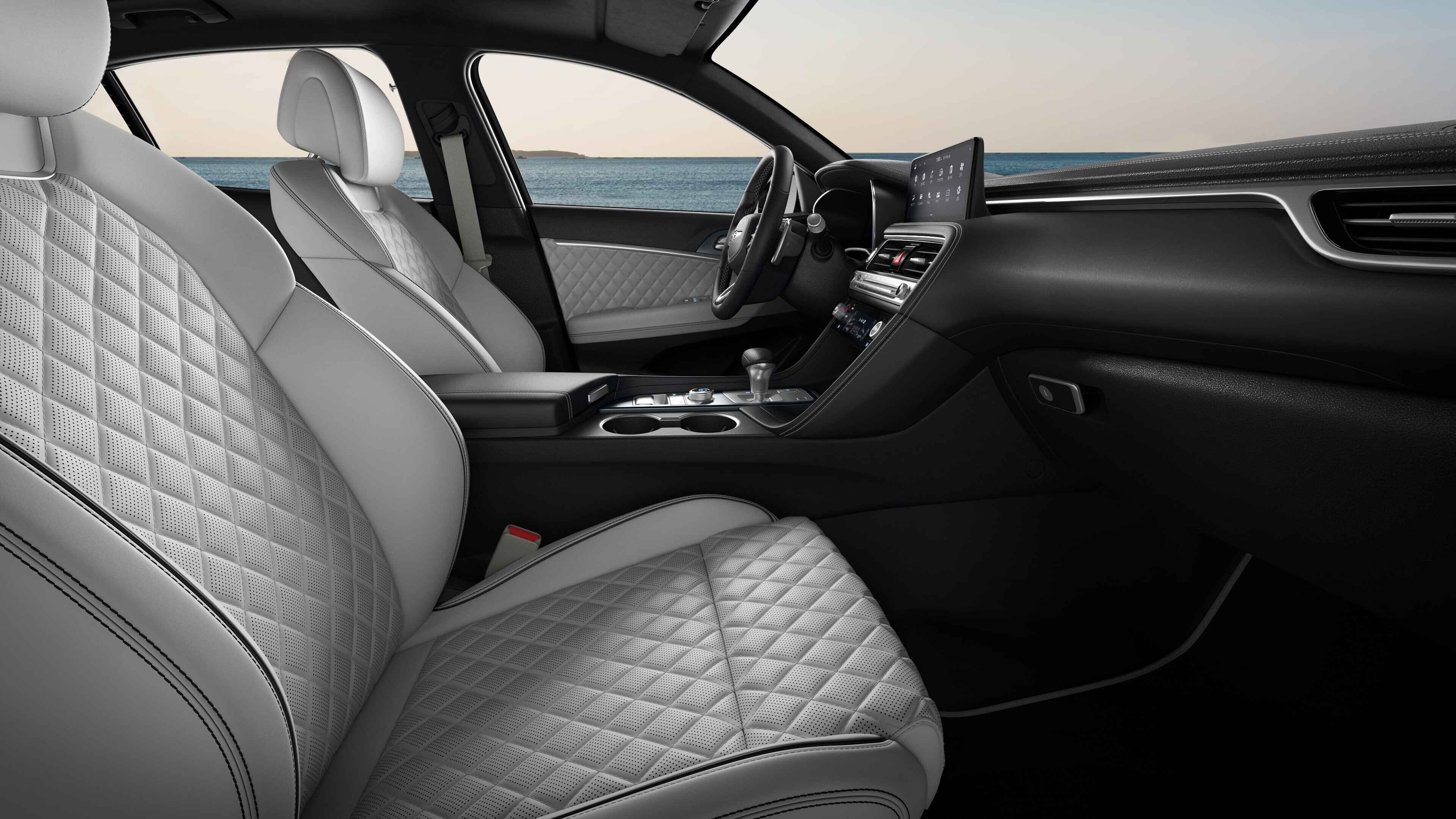 Obsidian Black/Fog Grey Two-Tone sport interior