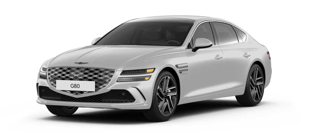  Modèle G80 en Gris Vatna 
