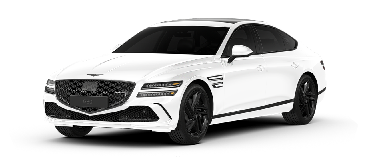 Genesis G80 Black in Uyuni White