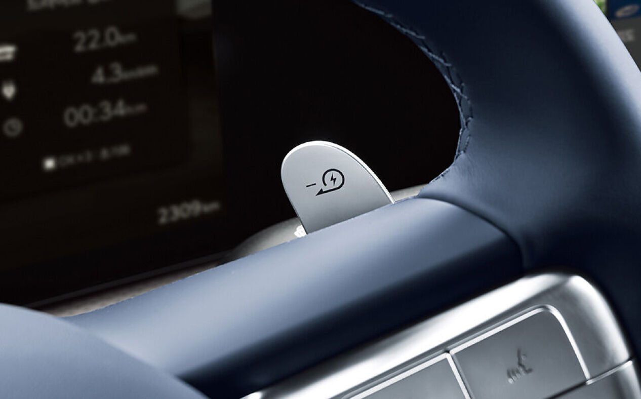 Regenerative Braking Control Paddle Shift 