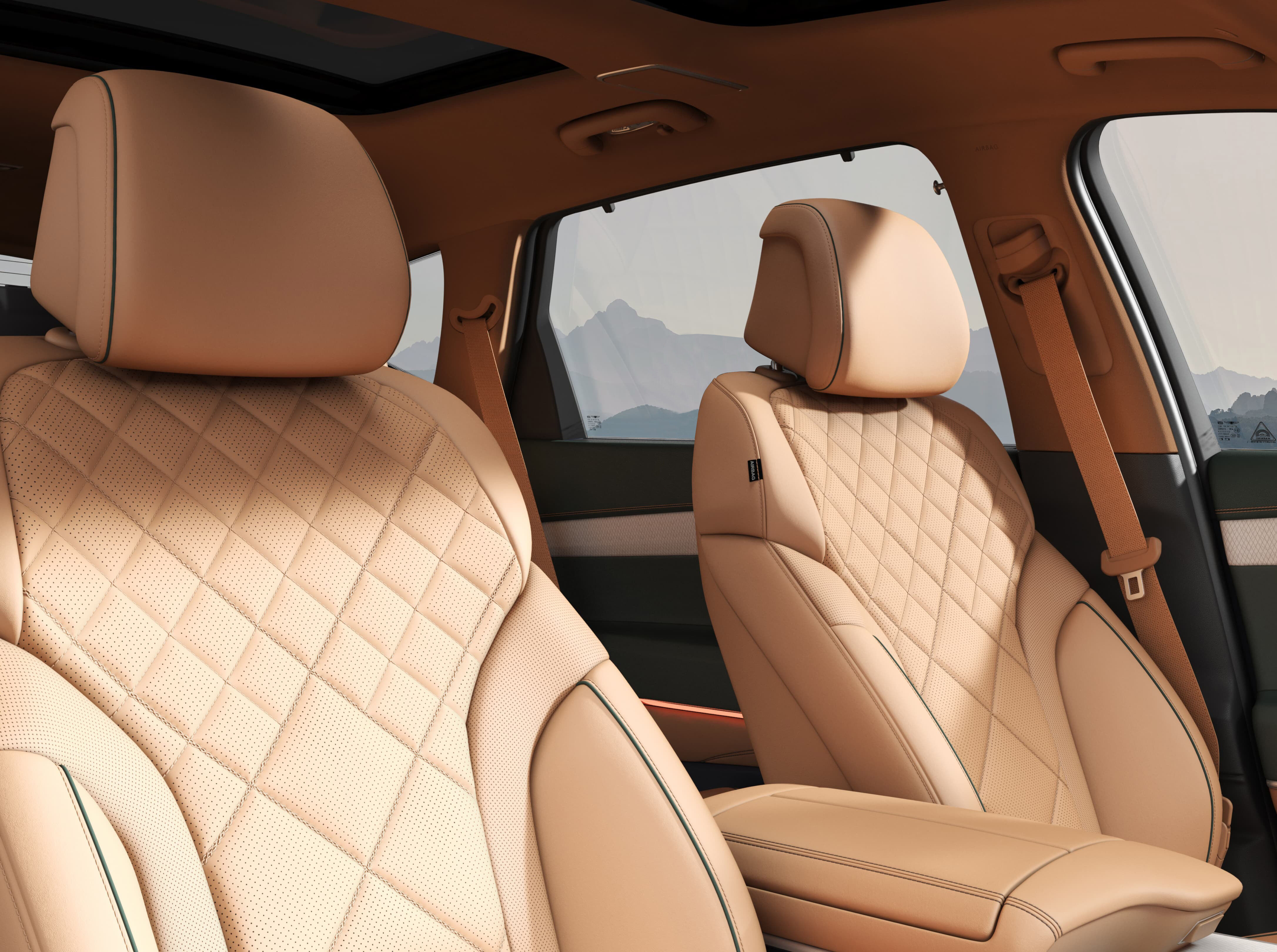  The driver's seat from the view of the passenger seat.