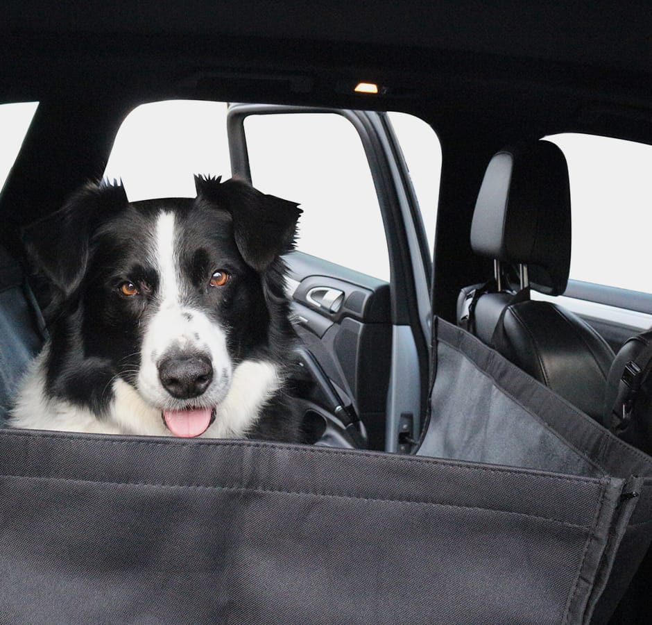 Genesis Parts and Accessories Genesis Canada