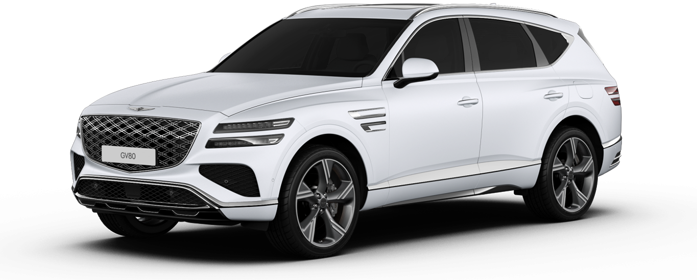 Matte Matterhorn White GV80