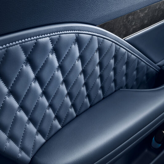 The fabric design applied to the rear seat doors is highlighted.