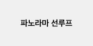 파노라마 선루프