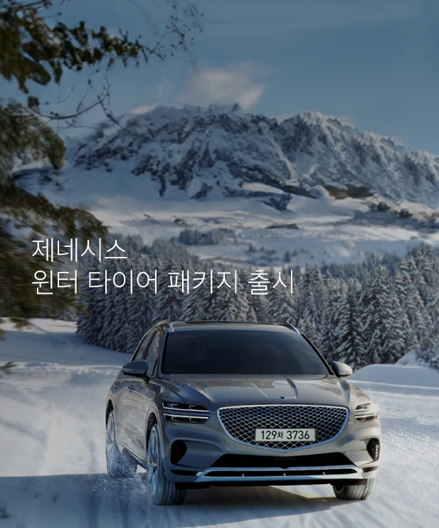 제네시스 윈터타이어 패키지 이미지